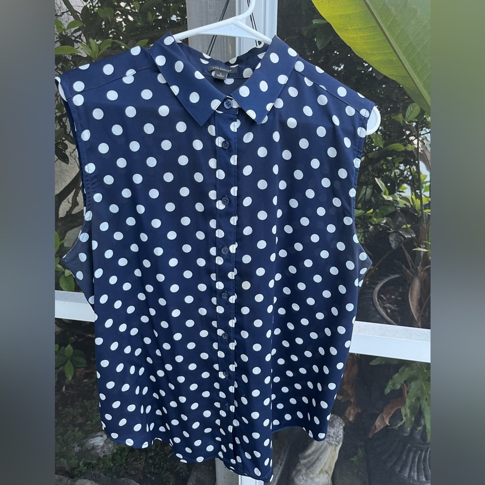 Ann Taylor Sleeveless Polkadot Blouse